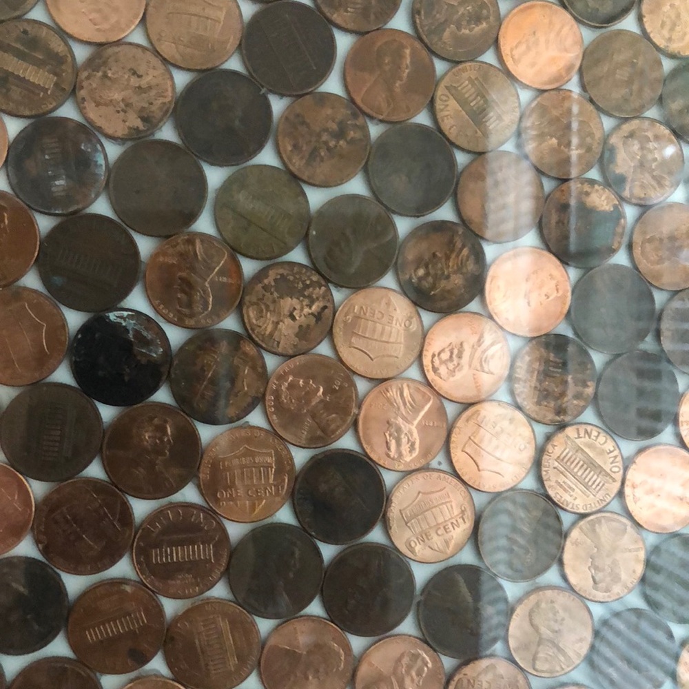 Meet your Posher, Casey